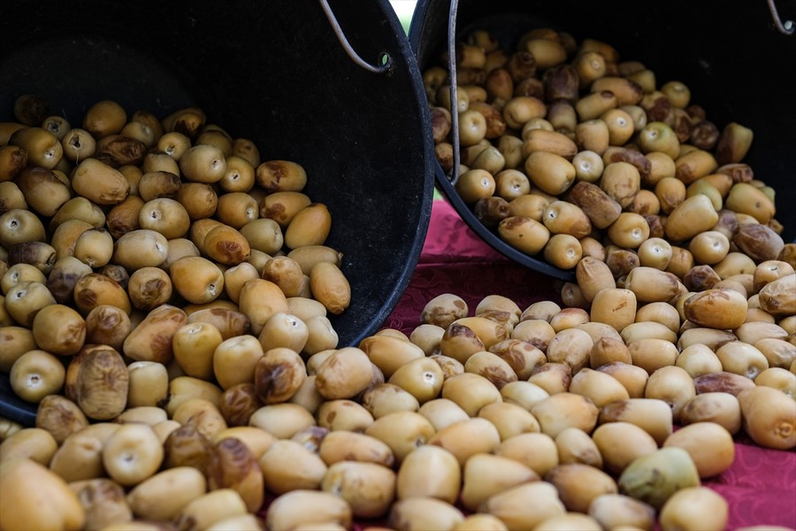 Medine'de hurma alışverişi