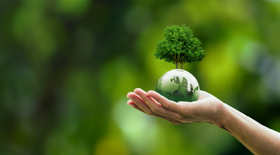 İsrafın Boyutları: Gıda, Enerji, Su ve Tüketim Analizi