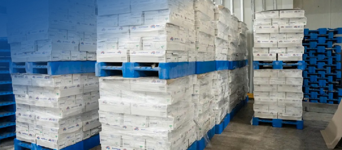 DUHA Kurban Organizasyonunda Kesim ve Paketlemeler Tamamlandı