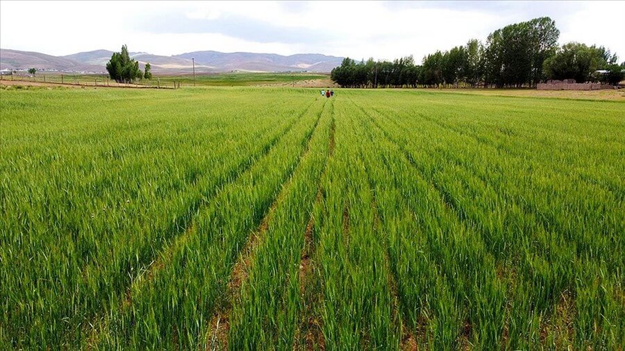 Sağlıklı gıda sağlıklı toprakta yetişir