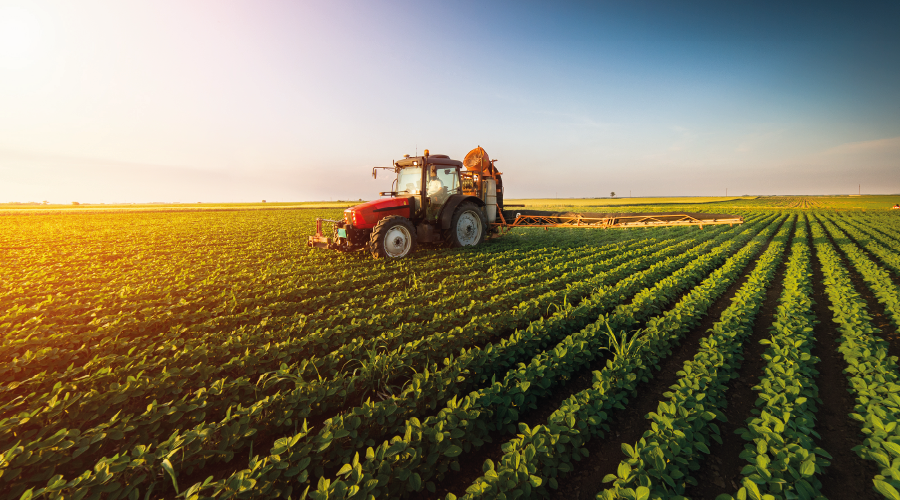 Tarımda verimi bereketli yağışlar belirleyecek