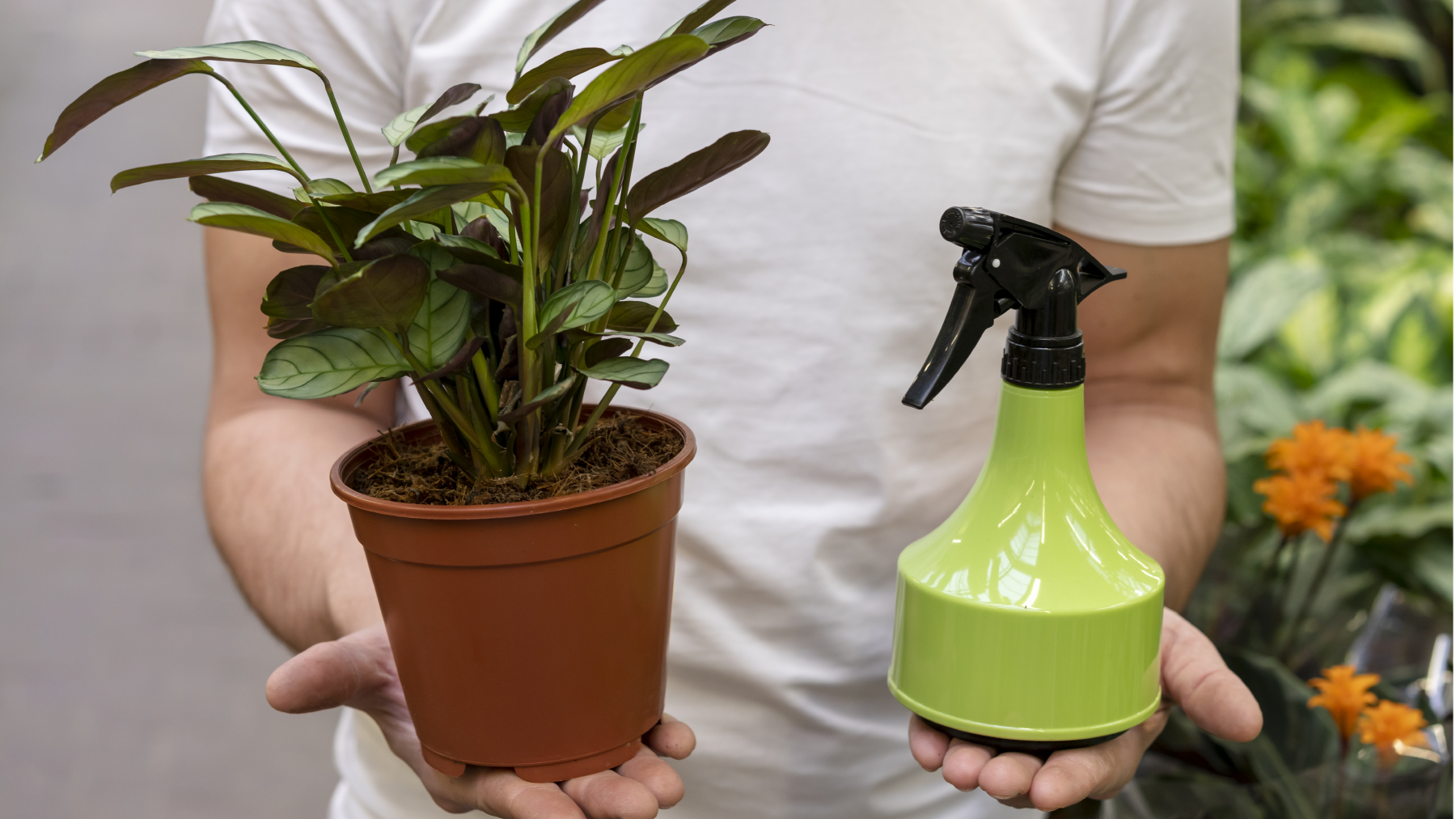 Çiçek bakımı için 5 öneri