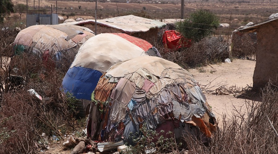 Dünya genelinde 700 milyondan fazla insan açlık çekiyor