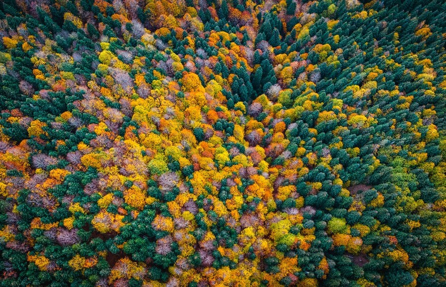 Yedigöller e yakışan sonbahar renkleri