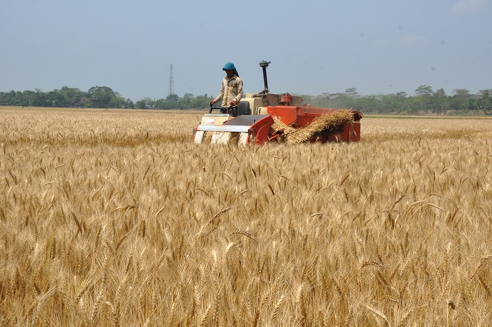 Mevsimlik tarım işçileri Türkiye'yi dolaşıyor