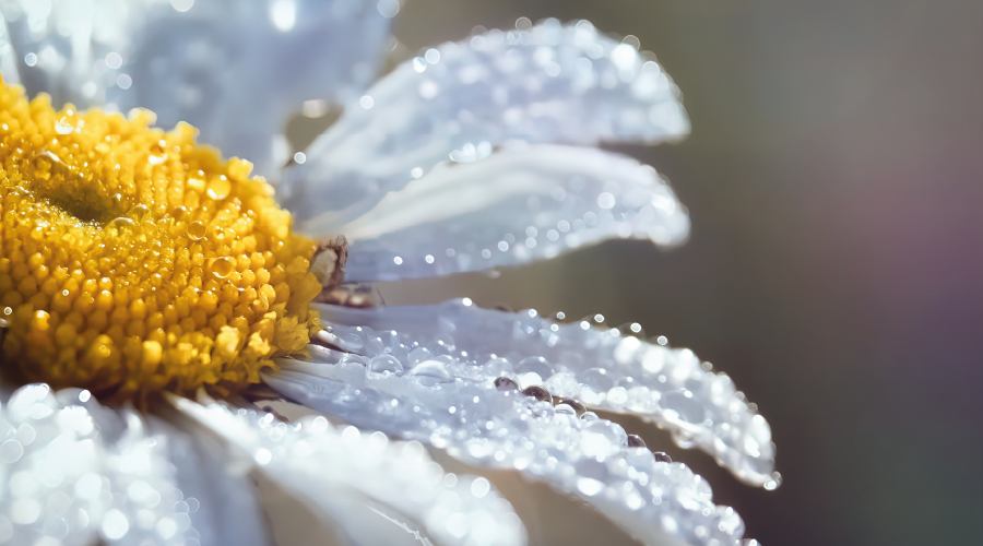 Yağmur, Rüzgar, Yıldırım Zamanlarında Okunacak Dualar
