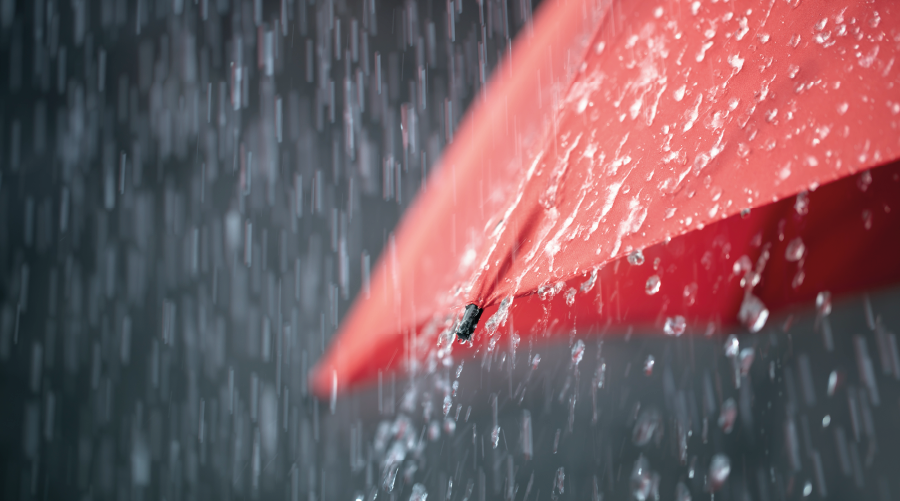 Yağışlar sevindirdi