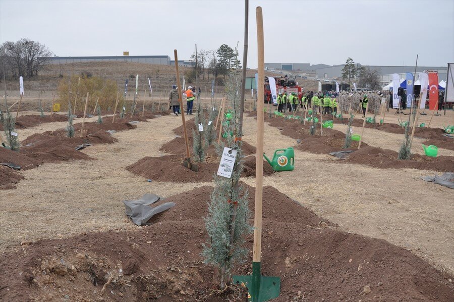 İstanbul'da binlerce fidan toprakla buluşuyor