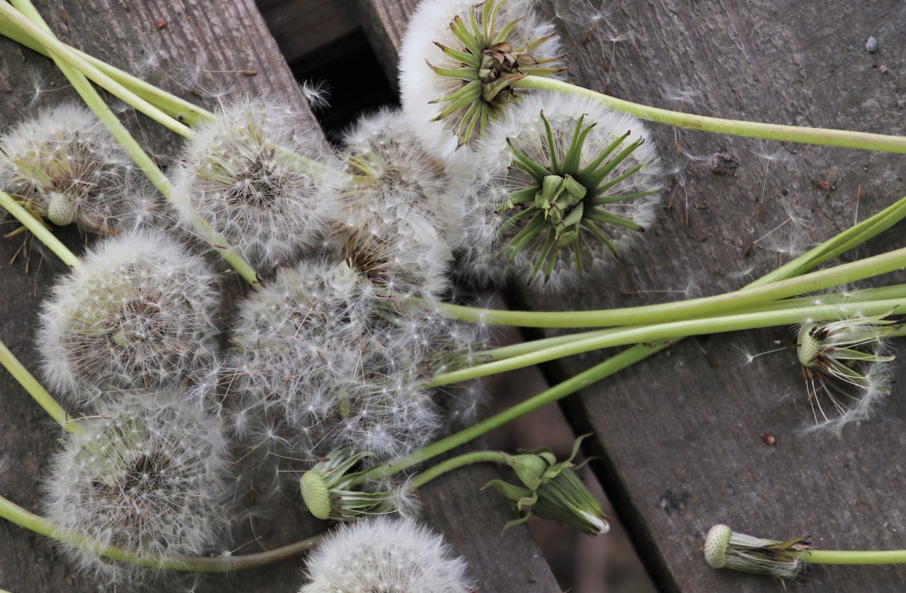 Alerji nedir, sebepleri nelerdir?