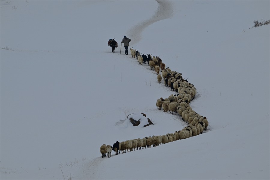 Besicilerin kış şartlarındaki zorlu mesaisi