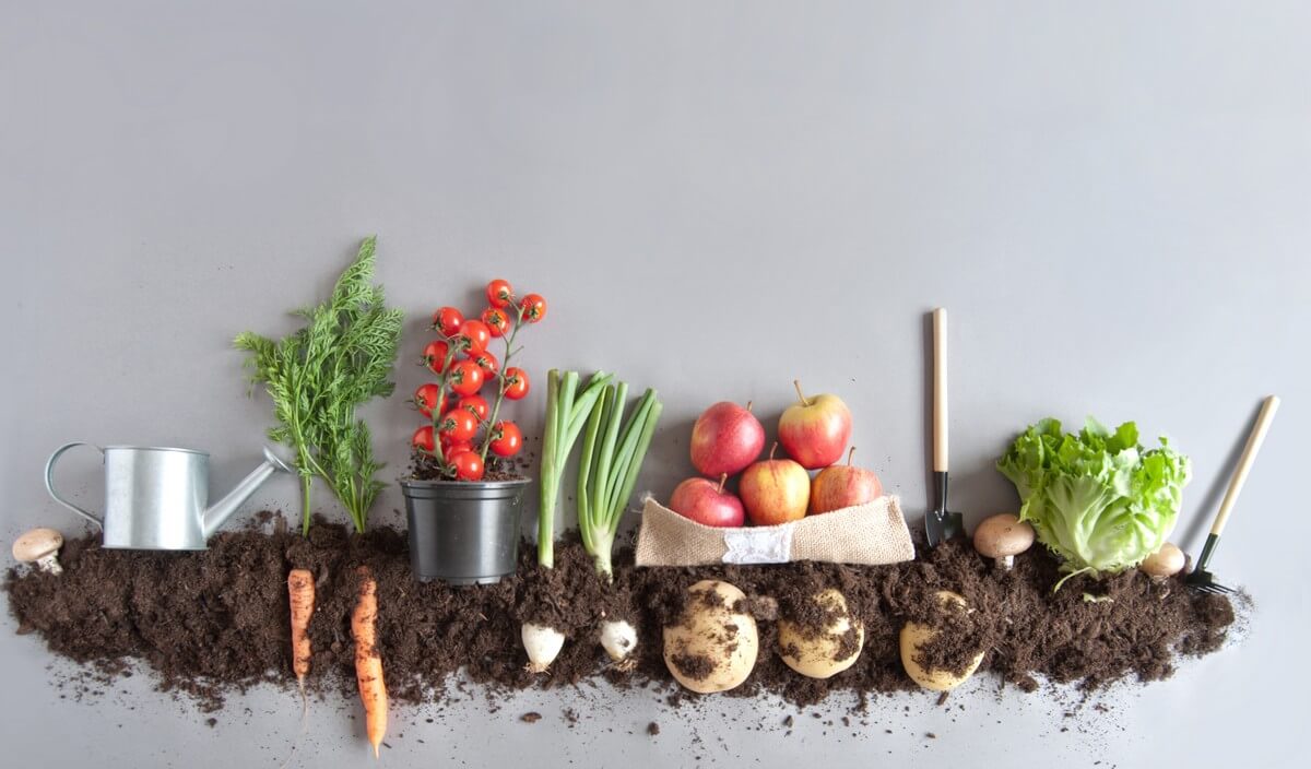 Organik tarım nedir, nasıl olmalıdır?