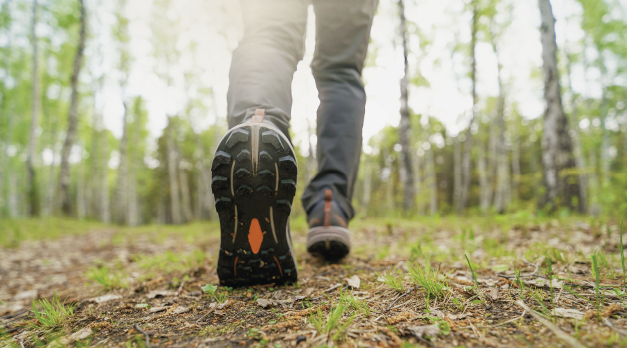Düzenli yürüyüş sağlıklı yaşama katkı sağlıyor