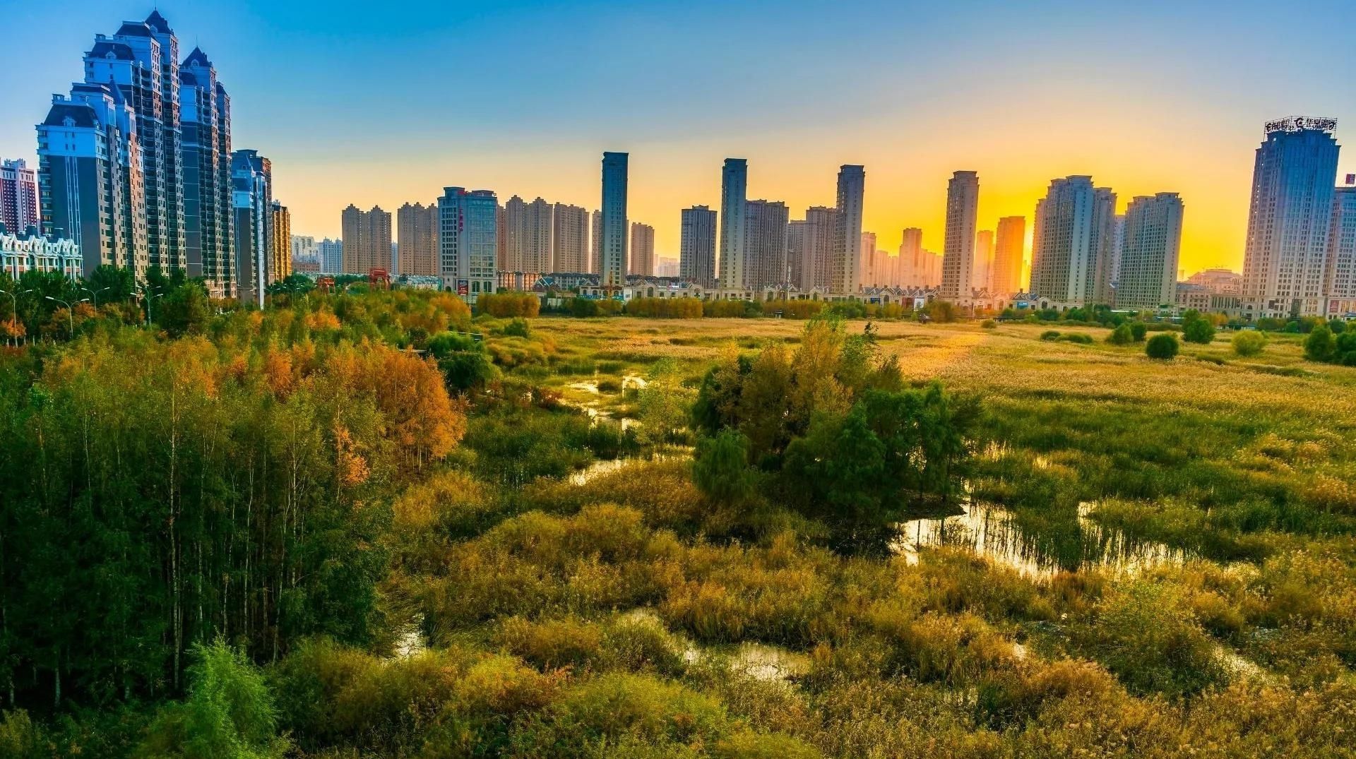 Sellere karşı ‘sünger şehir’