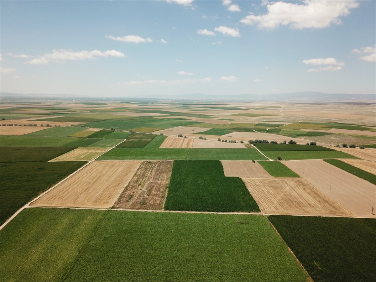 Tarım arazileri envanterle düzenlenecek