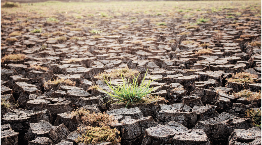 Su tüketiminde yüksek bilinç şart!
