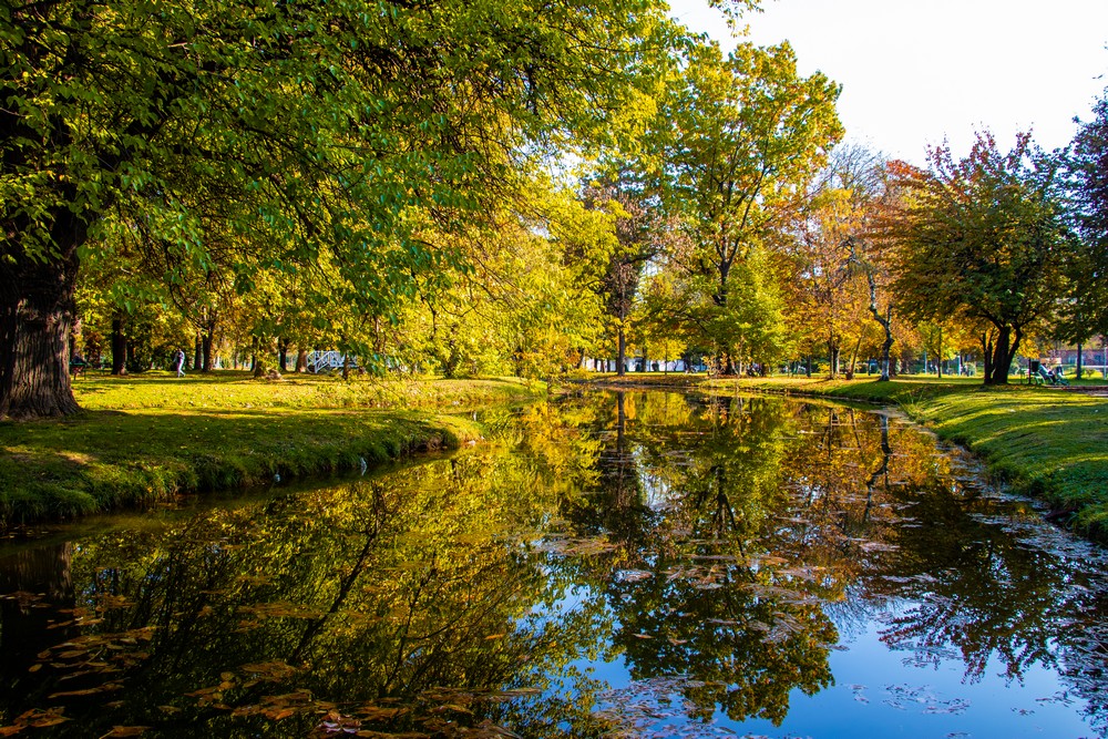 Polen etkileri sürüyor. Nasıl Korunmalı?