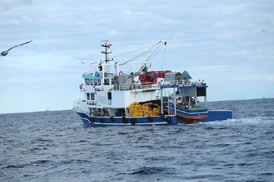 Karadeniz'de balık türleri azalıyor