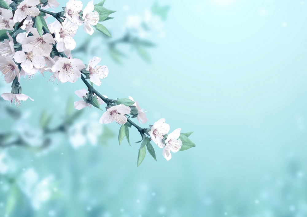 Receb ayı ve Regaib gecesinin mükâfatları