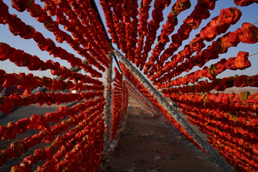 Yaz lezzetleri, kavurucu sıcakla kışa taşınıyor