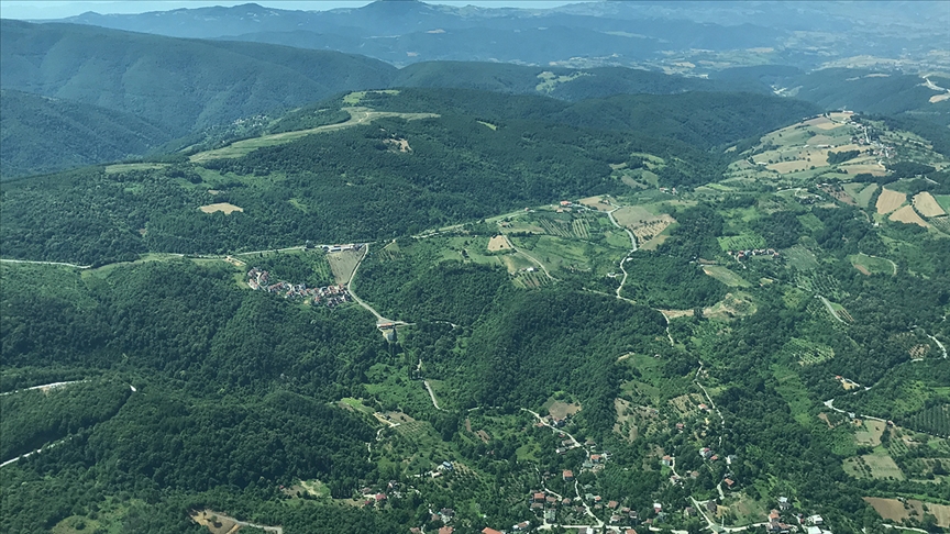 Orman yangınlarını önlemek için sıkı denetim