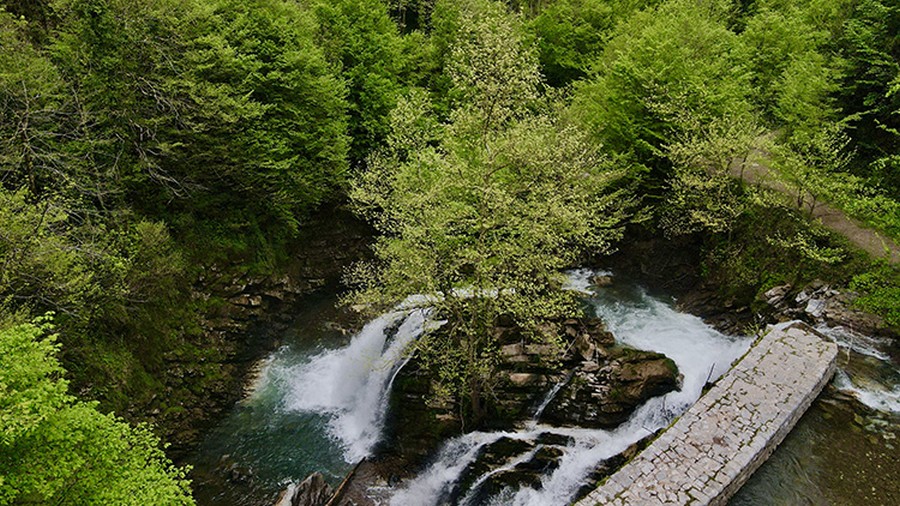 Sakarya Maden Deresi yeşilin tonlarına büründü