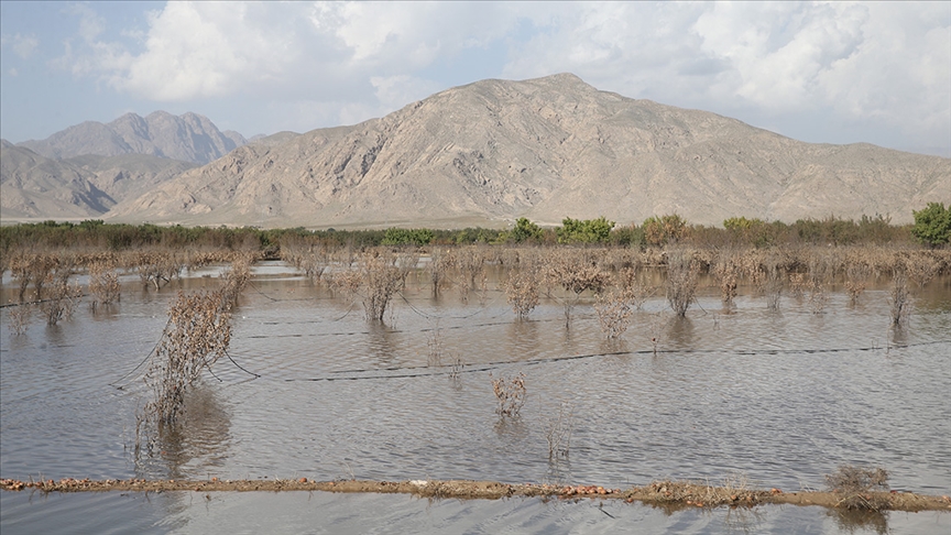 Sel Pakistan'da tahıl üretimini düşürdü 