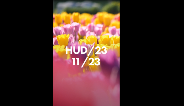 Kur'an - ı Kerim - Hud 23